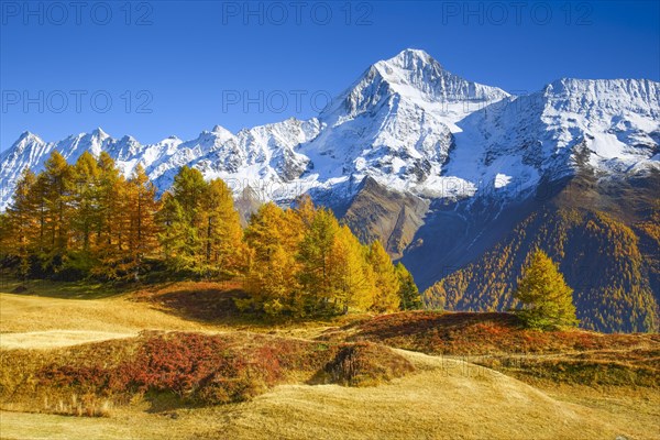 Bietschhorn