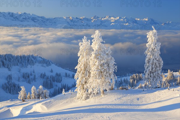 View from the Rigi