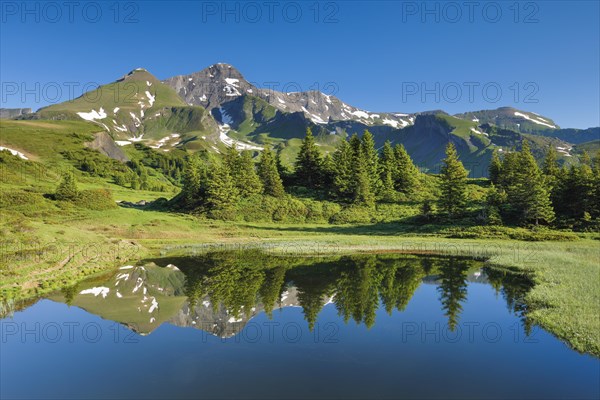 Chalberboden View of Schwarzhorn