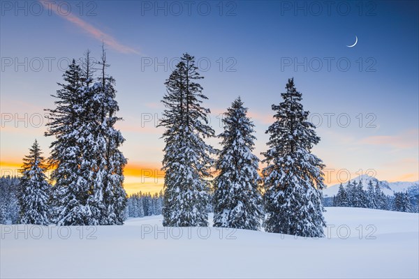 Sunset Alp Sellamatt