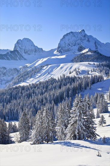 Swiss Prealps