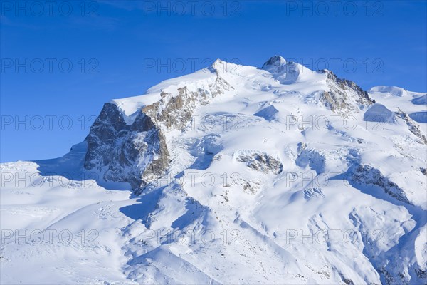 Monte Rosa