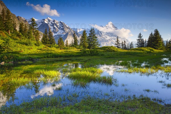 Grosse Scheidegg Passhoehe