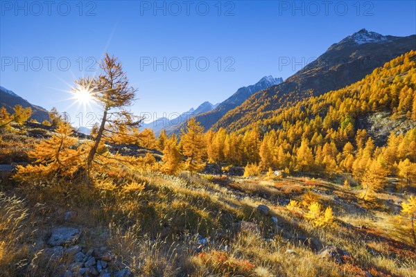 Fafleralp in the Loetschental