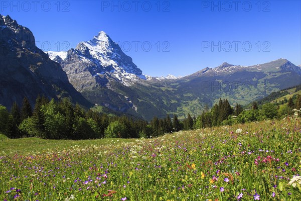 Eiger