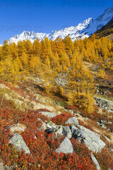 Loetschental with Schinhorn
