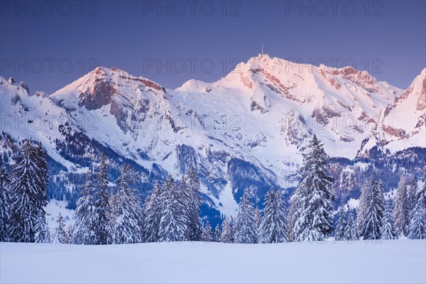 Saentis