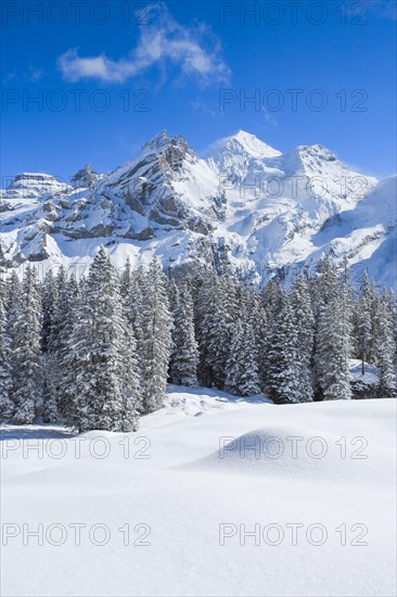 Blueemlisalp Rothorn