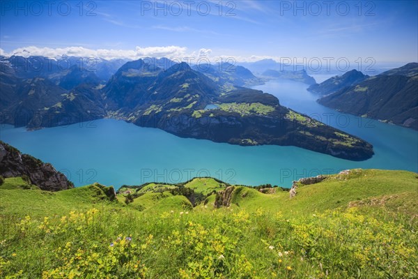 View from Fronalpstock
