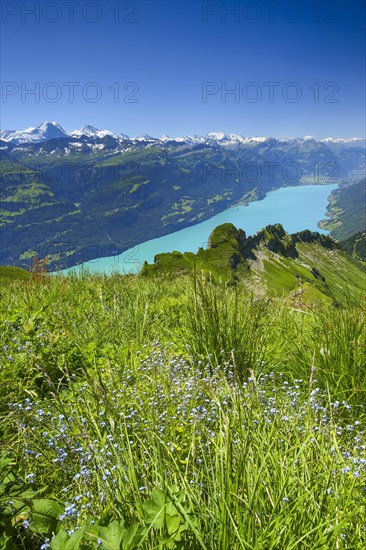 Brienzer Rothorn