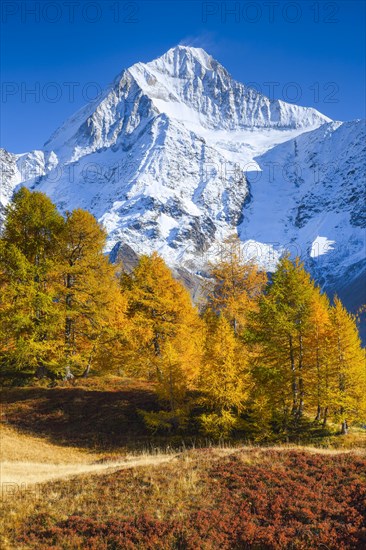 Bietschhorn