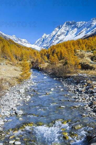 River Lonza with Aletschhorn and Schinhorn