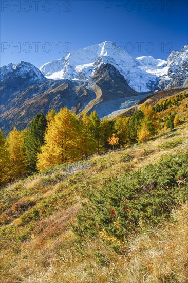 Pigne d'Arolla