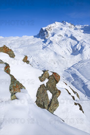 Monte Rosa