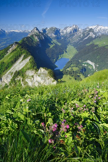 View Hoher Kasten