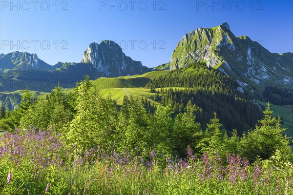 Swiss Pre-Alps