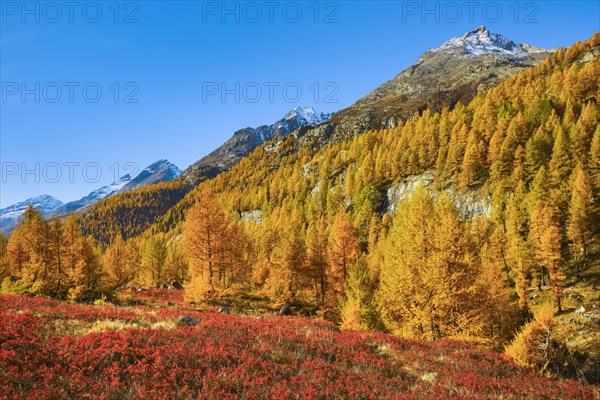 Fafleralp in the Loetschental
