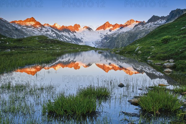 Swiss Alps