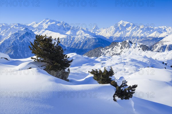 Swiss Alps