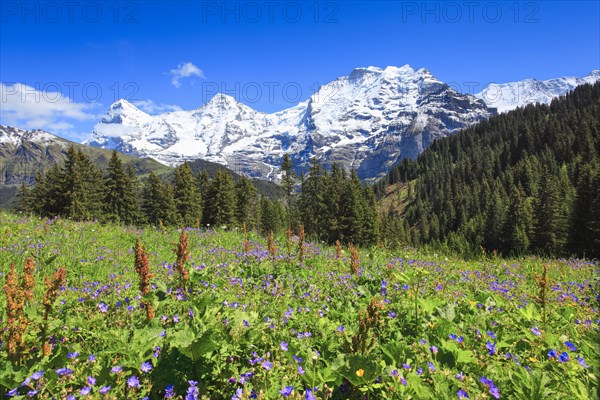 Eiger