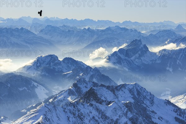 View from Saentis