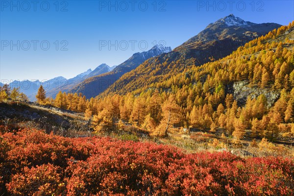 Fafleralp in the Loetschental