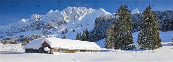 Alpstein massif with Saentis
