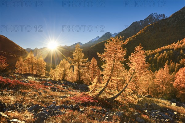 Fafleralp in the Loetschental