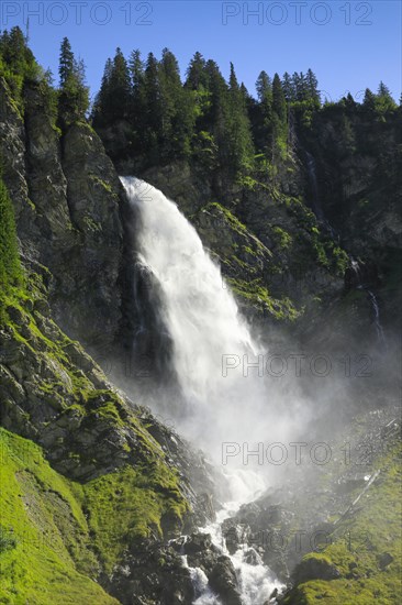 Staeubifall