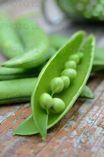PeasOpened the pod