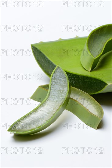 Aloe leaf discs and cut leaf