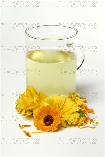 Cup of tea
