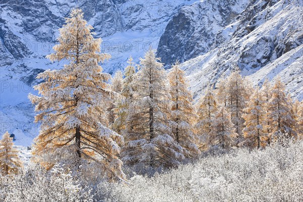Arolla Valley
