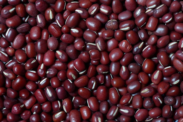 Dried azuki beans