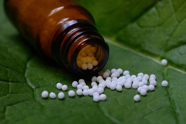 Globules in vials