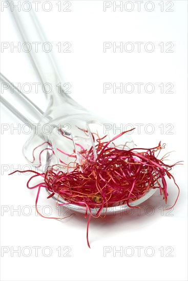 Beetroot sprouts