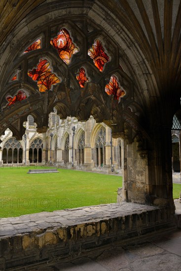 Cathedral