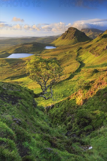 Trotternish