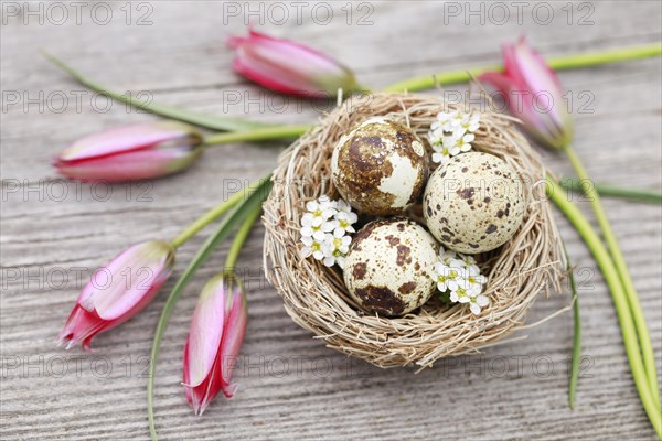 Natural Easter Decoration