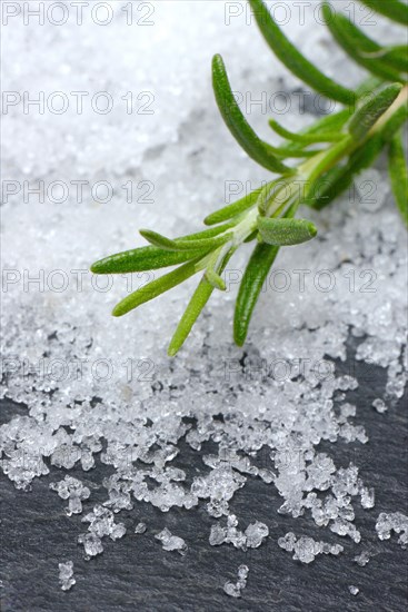 Sea salt and rosemary twig