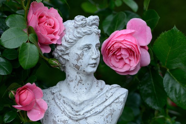 Bust with roses
