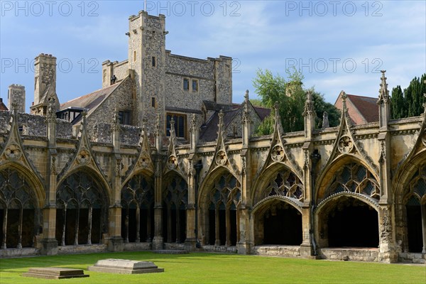 Cathedral