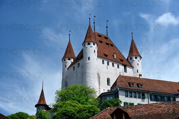 Thun Castle
