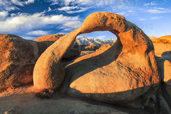 Mobius Arch