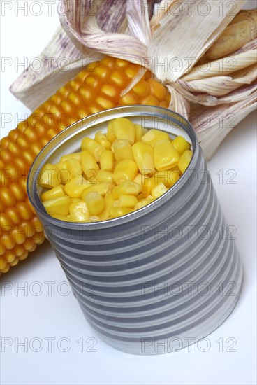Corn