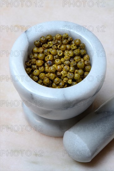 Green pepper in mortar