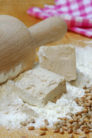 Baker's yeast