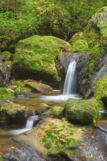 Twannbach Gorge