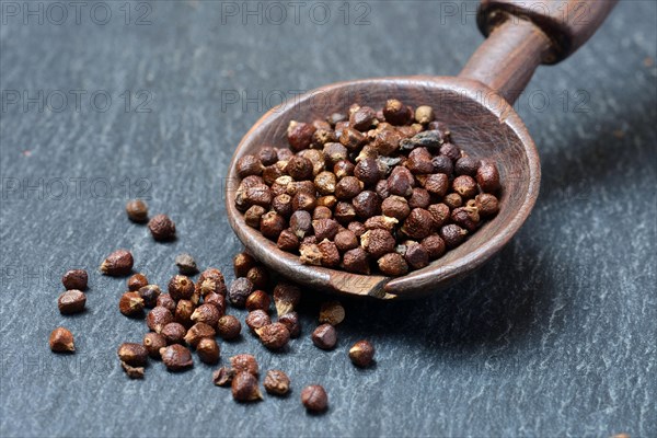 Aframomum melegueta in wooden spoons