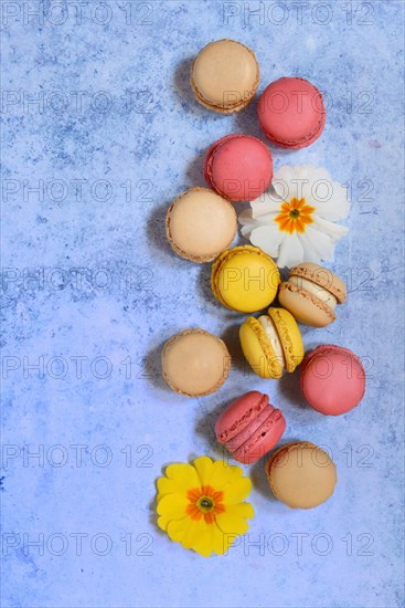 Luxemburgerli confectionery